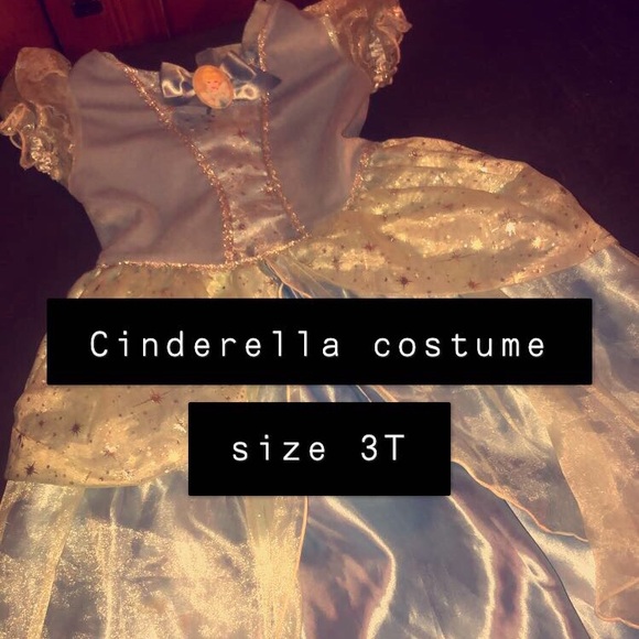 Other - Cinderella costume ...